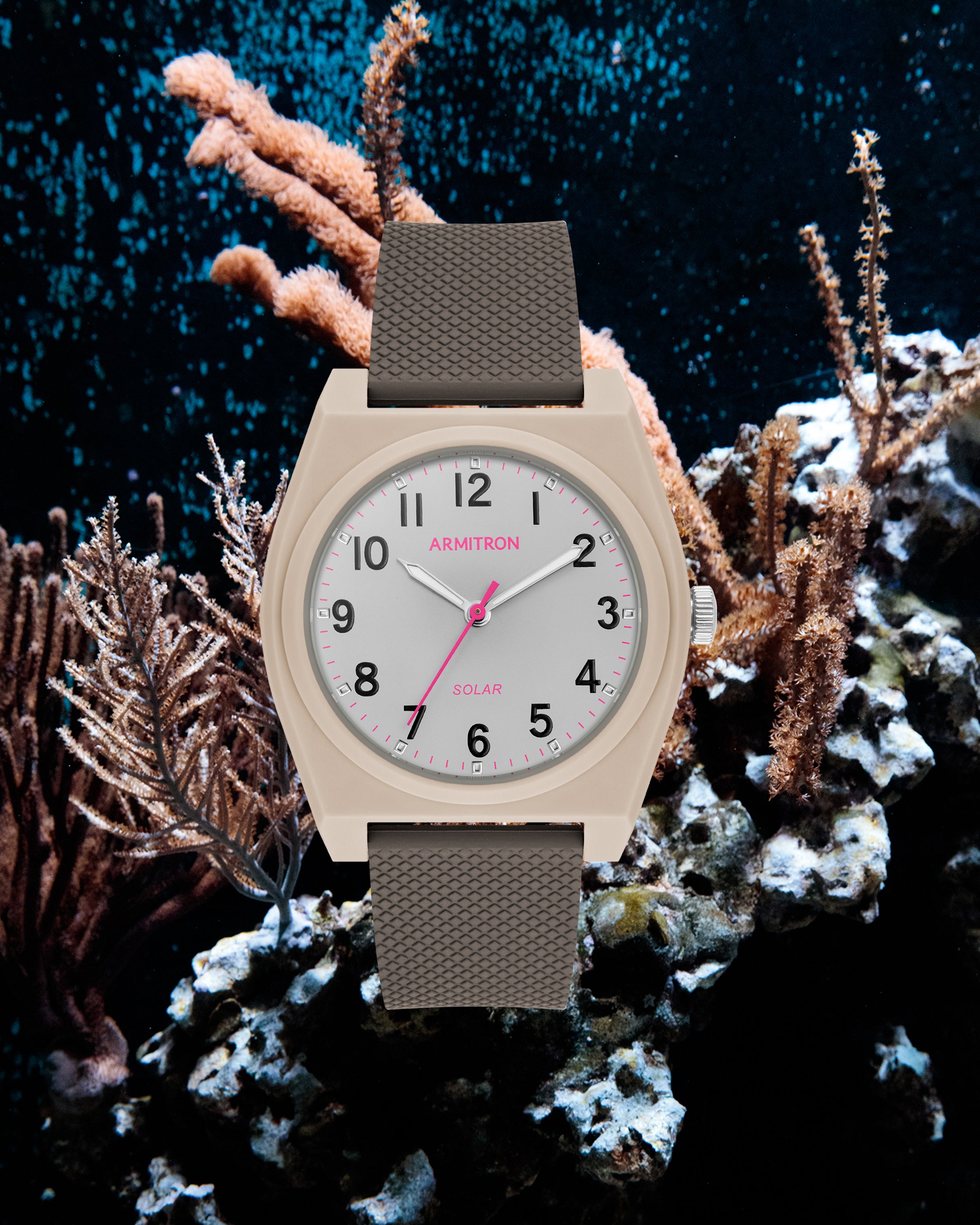 gray-reef-watch